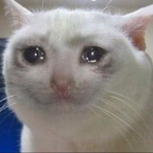 Meet your Posher, Lydia